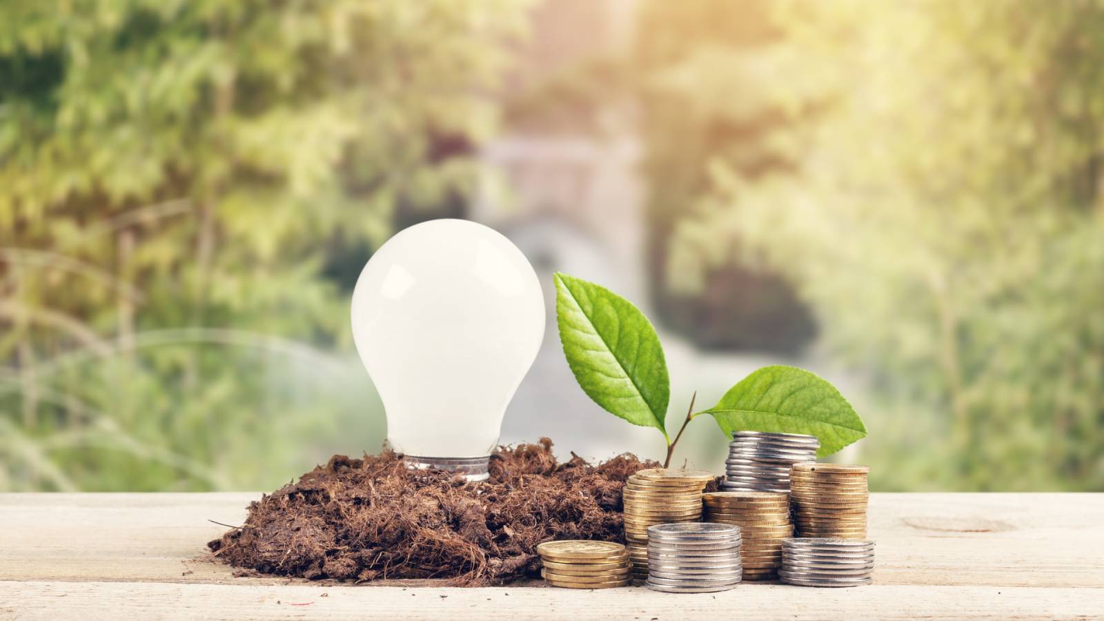 SRI, ESG & Affect Investing For Ladies: Understanding Your Choices